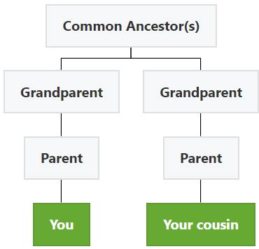 What is a Second Cousin? Are They Considered Family?