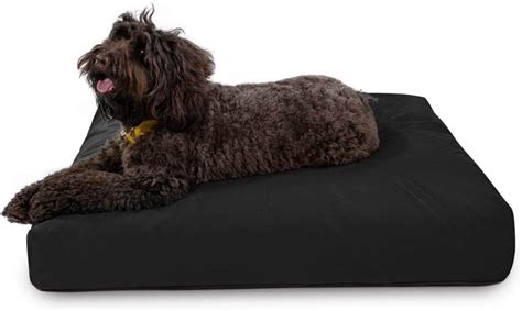 Best Indestructible Dog Beds For Heavy Chewers in 2021