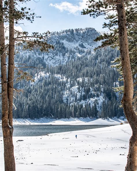 November Snow Adds a Fun Frosting to Mammoth Lakes – NBC 7 San Diego