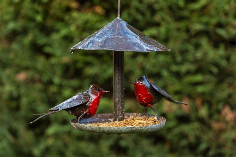 Hanging Robin Bird Feeder