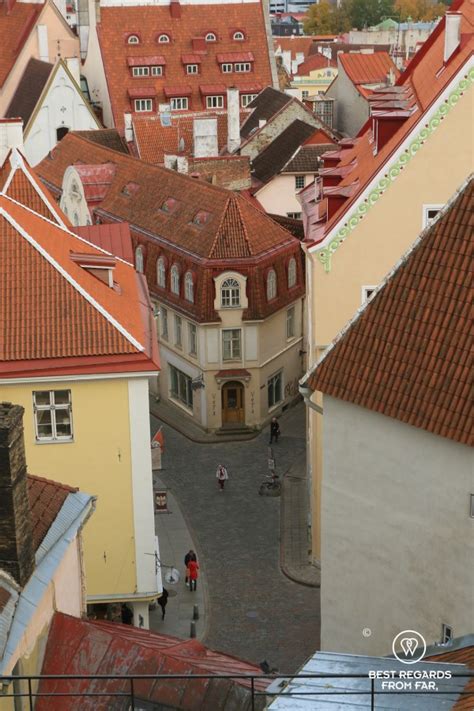 12 fun & interesting facts you did not know about Tallinn – Best ...