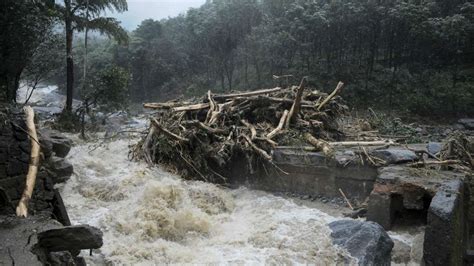 Kerala floods: CM says over Rs 8000 crore loss till now; tourism, plantation sectors severely ...