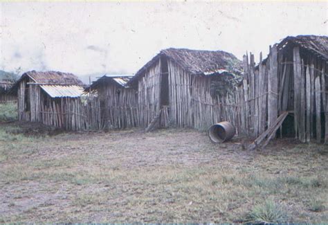 Hut construction: Wissel Lake 3 | Stichting Papua Erfgoed