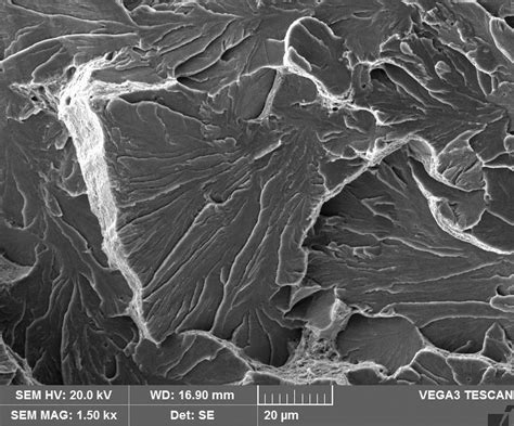 Fractures in the SEM | VGO Inc.