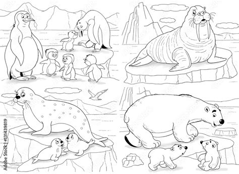 Printable Coloring Pages Of Arctic Animals