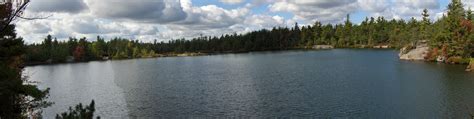 Wolf Lake State Forest