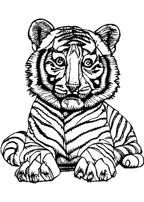 Tiger Cub Coloring Page · Creative Fabrica