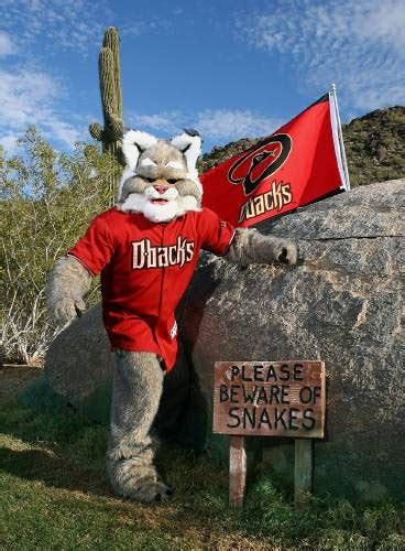 Arizona Diamondbacks Fire Mascot D. Baxter The Bobcat After DUI Arrest ~ Sports Rubbish