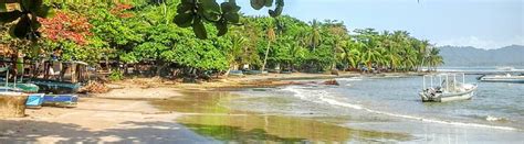 Gandoca Manzanillo Wildlife Refuge Snorkeling Puerto Viejo Costa Rica