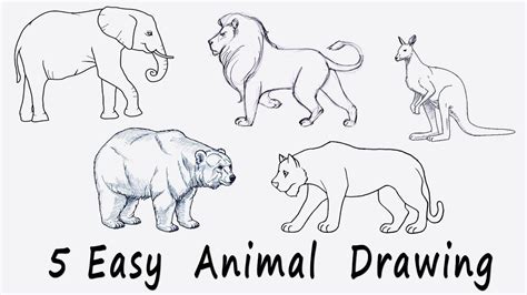 Carnivore Animals Drawing
