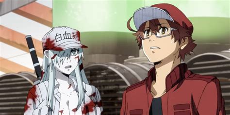 Top more than 78 anime about cells latest - in.cdgdbentre