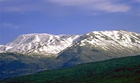 Mount Hermon, Israel | Holy land israel, Israel, Mount hermon