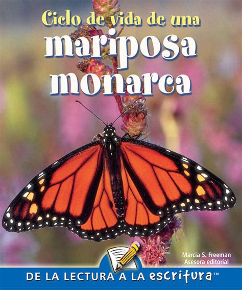 Buy Ciclo de Vida de Una Mariposa Monarca: Life Cycle of a Monarch Butterfly Online at ...
