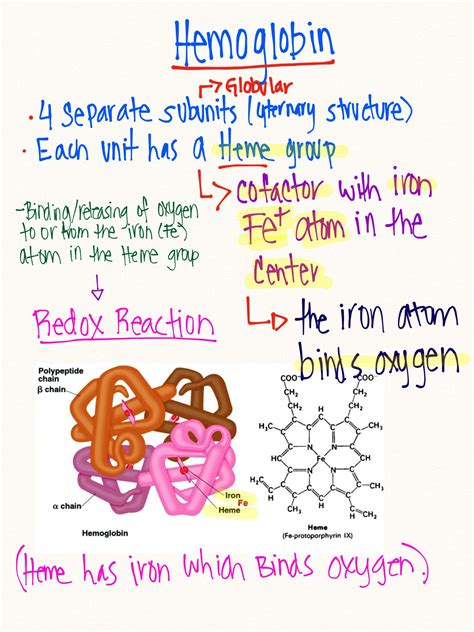 Pin on Pharmacy school in 2024 | Basic anatomy and physiology ...