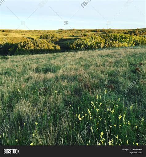 Landscape Lush Image & Photo (Free Trial) | Bigstock