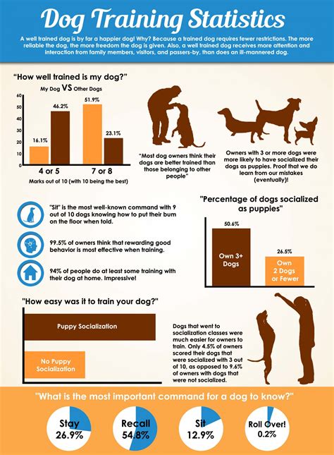 Types Of Dog Training – Dog Training Stats | Suburban K9