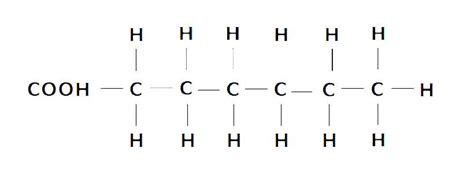 Saturated Fat Structure