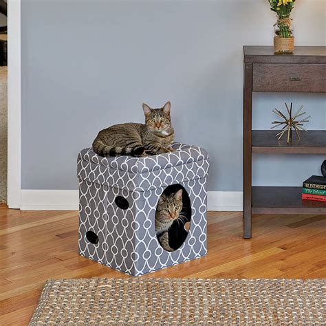 Curious Cat Cube - Grey - Naturally For Pets