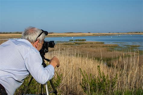 Bird Watching | Bird Spot