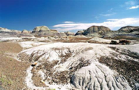 Petrified Forest National Park | Arizona, Fossils, Petroglyphs | Britannica