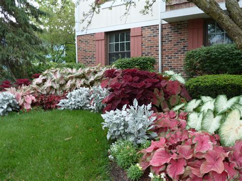 Flowers For Shaded Yard at Ryan Black blog