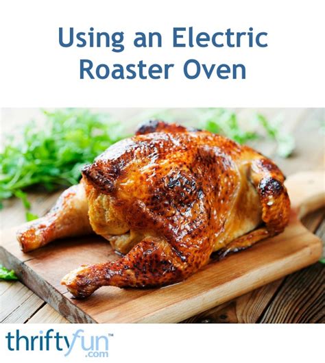 Cooking a Turkey in an Electric Roaster Oven | ThriftyFun