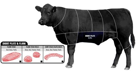 The Ultimate Guide To Beef Cuts - Business Insider