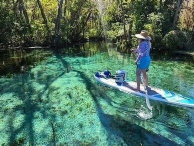 Silver Springs Wildlife Clear Paddleboarding & Clear Kayaking Tour