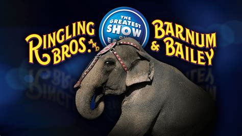 Ringling Brothers Circus Schedule 2023 - American Idol 2023 Schedule