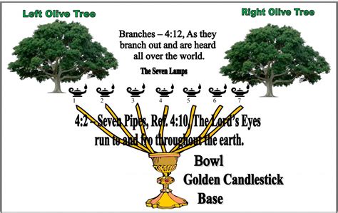 VIIIa.17. Who Are the Two Olive Trees of Zechariah Four? | https://heritagebbc.com