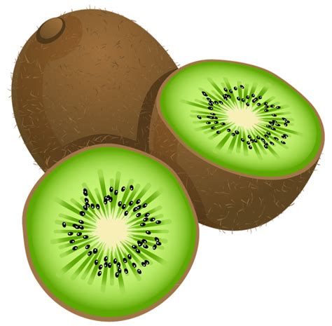 Large Painted Kiwi Frut PNG Clipart in 2023 | Kiwi fruit, Fruit picture, Kiwi