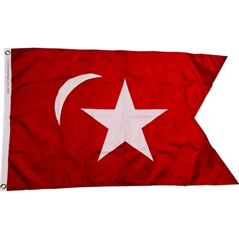 Confederate South Carolina Secession Flag 3 X 5 ft. Standard