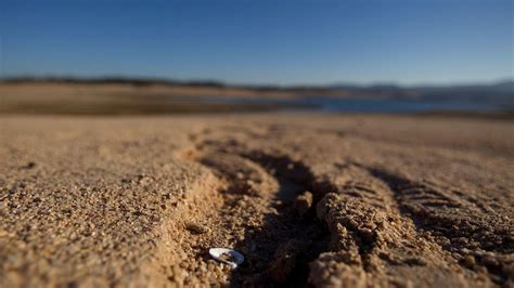 Where's the rain? California could suffer an unusually dry winter from ...