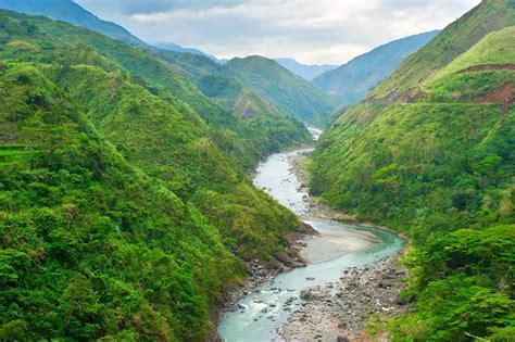 TIMELINE: Losing, Saving Philippine Forests | Pulitzer Center