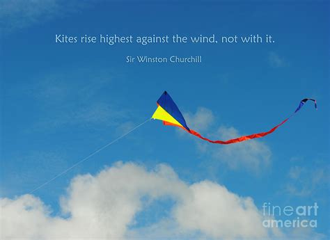 Quotes about Kites (51 quotes)