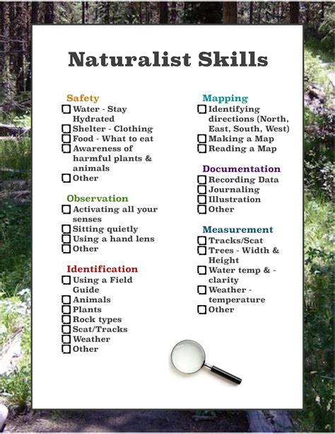 What are Naturalist Skils? How do they influence learning experiences?