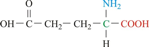 Structure Of Glutamic Acid