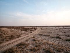 The Banni Grasslands of Kutch. - Swati's Blog