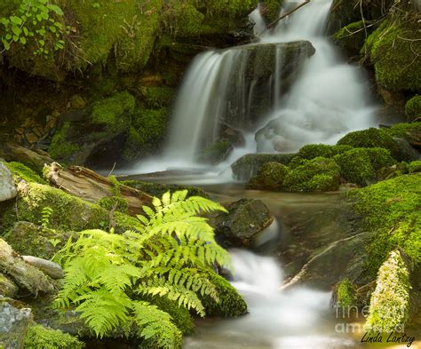 Eden Photograph by Idaho Scenic Images Linda Lantzy - Fine Art America