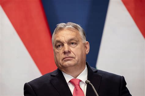 Hungary's Fidesz party delays vote on Sweden's NATO membership ...