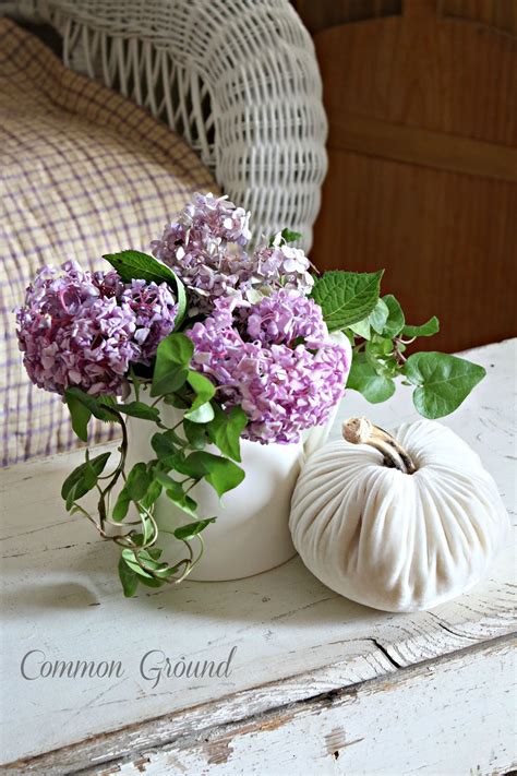 common ground : Lavender Hydrangeas