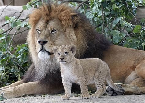 Imagens do dia 26 de junho de 2017 | Mundo | G1