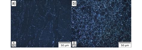 Dark field light microscopy pictures showing the representative ...