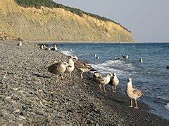 Category:Beaches of Krasnodar Krai - Wikimedia Commons