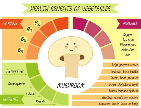 10 Popular Edible Mushrooms (And How To Cook With Them) - Farmers ...