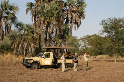 Mozambican Wildlife Safari - Gorongosa, Niassa Game Reserve