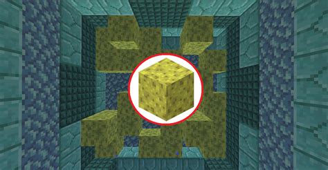 How To Use A Sponge in Minecraft - Player Assist | Game Guides ...