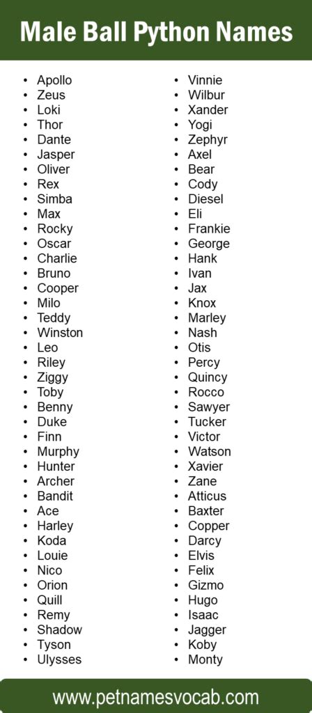 List of Names for Ball Python - Pet Names Vocab