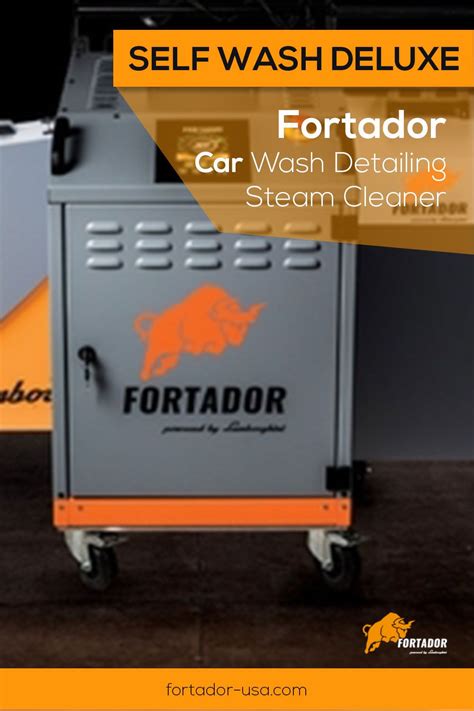 Why Steam Cleaner is the Best Tool for Car Wash and Auto Detailing ...