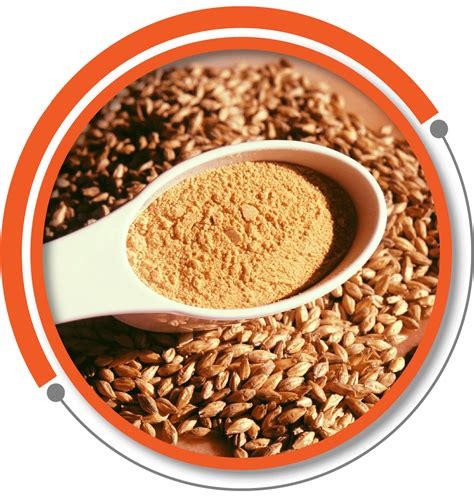 Milkose Malt Products, Food Ingredients & Nutritional Formulations